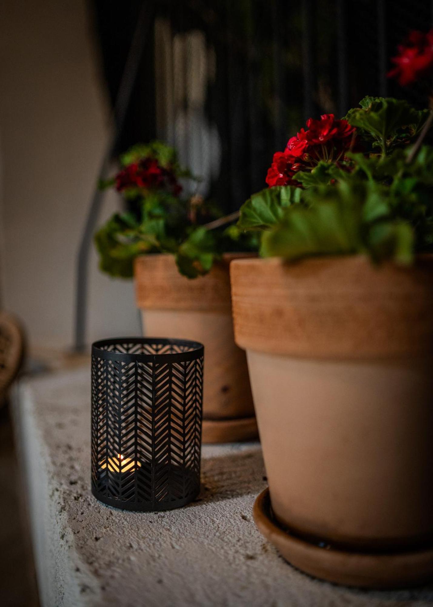 Appartamento Amaro Luxury & With Balcony